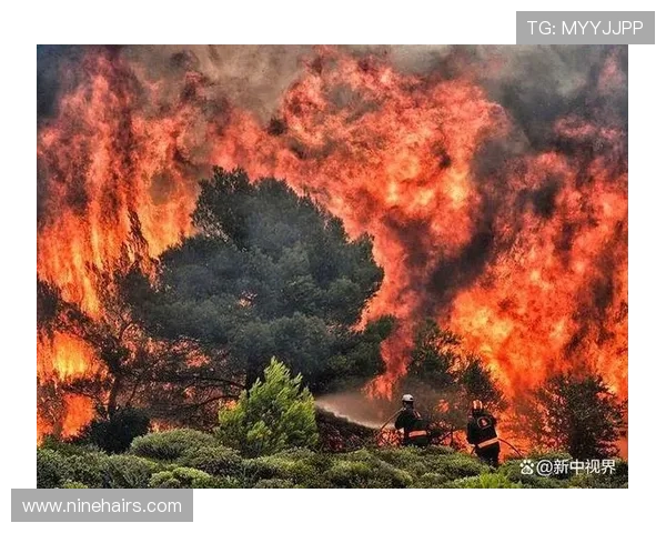 ✅体育直播🏆世界杯直播🏀NBA直播⚽四川雅江发生山火 已转移安置群众140余人sports
